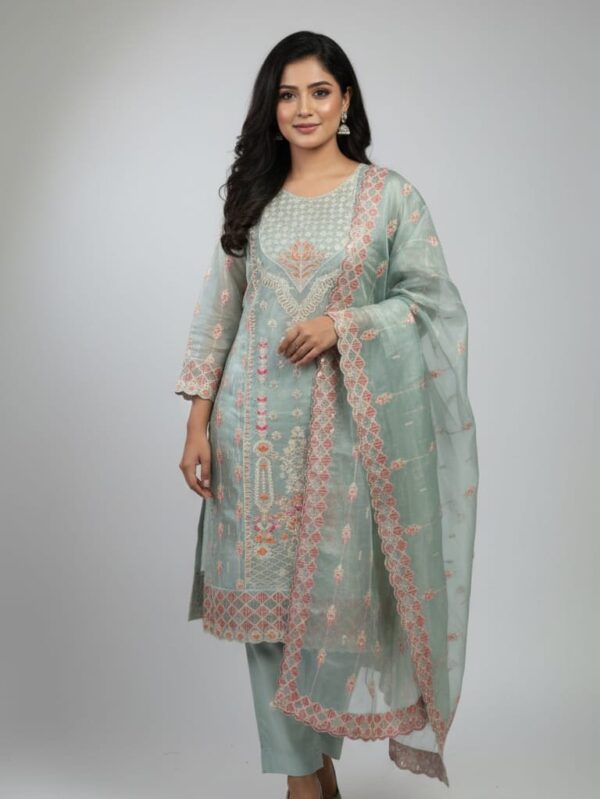 Elegant organza patti three-piece dress for women in soft pastel shade